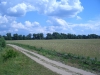 cimg0532.jpg