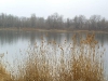 cimg0497.jpg